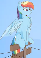 Size: 2404x3400 | Tagged: safe, artist:renderpoint, derpibooru import, rainbow dash, pegasus, pony, behaving like a bird, chest fluff, female, image, jpeg, mare, partially open wings, perching, simple background, solo, telephone pole, wings