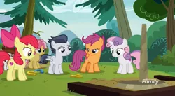 Size: 1177x647 | Tagged: safe, derpibooru import, screencap, apple bloom, kettle corn, pipsqueak, rumble, scootaloo, skeedaddle, sweetie belle, earth pony, pegasus, pony, unicorn, marks and recreation, colt, cutie mark, cutie mark crusaders, cutie mark day camp, discovery family logo, female, filly, horseshoes, looking down, male, the cmc's cutie marks