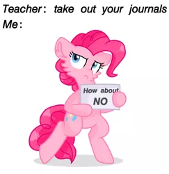 Size: 936x964 | Tagged: safe, artist:rainbow eevee, derpibooru import, edit, pinkie pie, pony, exploitable meme, fluffy, head fluff, holding a sign, meme, no, obligatory pony, pinkie pie is not amused, solo, teacher, text, unamused, why