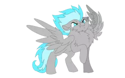 Size: 1920x1200 | Tagged: safe, artist:brainiac, derpibooru import, oc, oc:rocco, unofficial characters only, pegasus, pony, 2020 community collab, derpibooru community collaboration, behaving like a bird, chest fluff, male, simple background, solo, transparent background