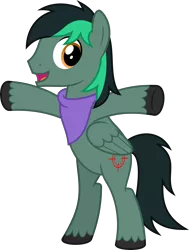 Size: 4000x5297 | Tagged: safe, artist:parclytaxel, derpibooru import, oc, oc:target strike, unofficial characters only, pegasus, pony, 2020 community collab, derpibooru community collaboration, .svg available, absurd resolution, bipedal, cheering, commission, looking at you, male, neckerchief, simple background, smiling, solo, stallion, t pose, transparent background, unshorn fetlocks, vector