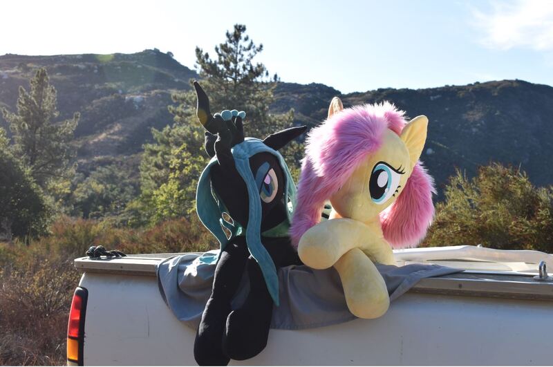 Size: 1342x890 | Tagged: artist:agatrix, artist:joltage, changeling, changeling queen, derpibooru import, female, fluttershy, irl, mountain, mountain range, outdoors, pegasus, photo, plushie, queen chrysalis, safe, truck, vehicle