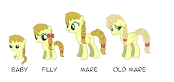 Size: 9500x4500 | Tagged: safe, artist:northernthestar, derpibooru import, oc, oc:lassie jack, unofficial characters only, earth pony, pony, age progression, baby, elderly, female, filly, generations, mare, progression, vector