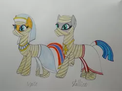 Size: 2893x2151 | Tagged: safe, artist:bsw421, derpibooru import, oc, oc:silver herbst, earth pony, pony, ankh, bandage, clothes, egyptian, egyptian pony, headdress, jewelry, missing limb, mummy, necklace, photo, skirt, traditional art