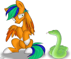 Size: 3000x2500 | Tagged: safe, artist:hydrargyrum, derpibooru import, oc, oc:naarkerotics, pony, snake, cute, male, scared, stallion