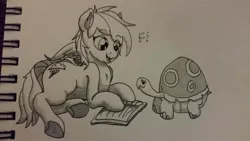 Size: 1024x576 | Tagged: safe, artist:riggyrag, derpibooru import, rainbow dash, tank, pegasus, pony, /mlp/, anatomically incorrect, book, cute, female, human shoulders, lying down, mare, monochrome, traditional art