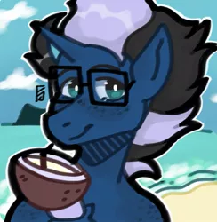 Size: 955x980 | Tagged: safe, artist:_yuridesu, derpibooru import, oc, oc:shabaco, unicorn, coconut, drinking, food, glasses, head, male, sand, solo, water