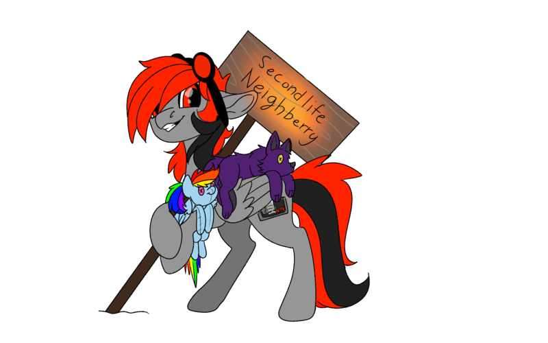 Size: 1920x1200 | Tagged: safe, artist:brainiac, derpibooru import, rainbow dash, oc, oc:serendypity, unofficial characters only, pegasus, pony, wolf, 2020 community collab, derpibooru community collaboration, chest fluff, neighberry, plushie, second life, simple background, solo, transparent background