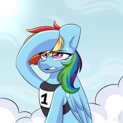 Size: 2300x2300 | Tagged: safe, artist:rinteen, derpibooru import, rainbow dash, pegasus, pony, halfbody, photo, sky, solo, sun