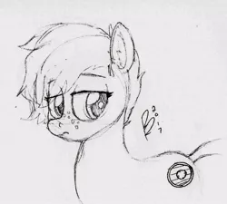 Size: 992x891 | Tagged: safe, artist:riggyrag, derpibooru import, oc, oc:morning star, unofficial characters only, pony, black and white, female, freckles, grayscale, mare, monochrome, signature, simple background, sketch, solo, traditional art, white background