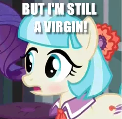 Size: 405x393 | Tagged: safe, derpibooru import, edit, edited screencap, screencap, coco pommel, rarity, earth pony, pony, unicorn, made in manehattan, blushing, caption, cropped, flower, flower in hair, image macro, solo focus, text, virgin