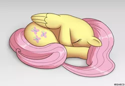 Size: 4581x3173 | Tagged: safe, artist:irisarco, derpibooru import, fluttershy, pegasus, pony, behaving like a cat, cute, eyes closed, female, mare, shyabetes, simple background, sleeping, solo