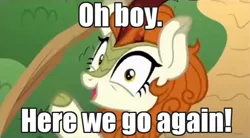 Size: 600x331 | Tagged: autumn blaze, caption, derpibooru import, edit, edited screencap, female, here we go again, image macro, kirin, looking at you, oh boy here we go, raised hoof, reaction image, safe, screencap, solo, sounds of silence, text