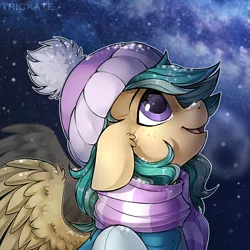 Size: 3000x3000 | Tagged: safe, artist:trickate, derpibooru import, oc, oc:summer ray, unofficial characters only, pegasus, pony, beanie, clothes, hat, looking up, night, scarf, smiling, snow, solo, starry night, stars, winter