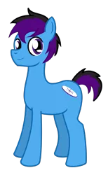 Size: 1522x2471 | Tagged: safe, artist:banquo0, derpibooru import, oc, oc:banquo, unofficial characters only, earth pony, pony, 2020 community collab, derpibooru community collaboration, frisbee, male, simple background, solo, transparent background
