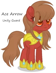 Size: 784x1019 | Tagged: safe, artist:razorbladetheunicron, derpibooru import, oc, oc:ace arrow, unofficial characters only, earth pony, pony, lateverse, alternate universe, armor, bags under eyes, base used, female, mare, royal guard, royal guard armor, shading, simple background, solo, transparent background