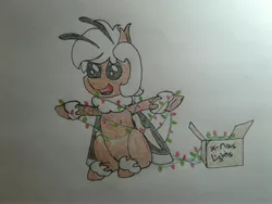 Size: 2576x1932 | Tagged: artist:stemthebug, box, christmas, christmas lights, cute, derpibooru import, holiday, hybrid, insect, moth, mothpony, oc, oc:stem bedstraw, original species, photo, safe, solo, traditional art, unofficial characters only