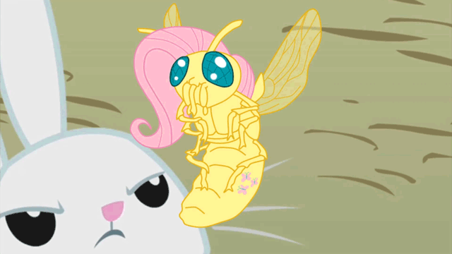 Size: 640x360 | Tagged: angel bunny, animated, artist:mrcoffeewings, creepy, cutie mark, derpibooru import, flutterfly, fluttershy, fly, flying, gif, insect, mane, ponibooru import, pun, safe, seizure warning, solo, species swap, unamused