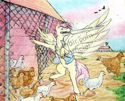 Size: 991x806 | Tagged: animal rights, artist:azkre, bird, chicken, derpibooru import, fluttershy, knife, obtrusive watermark, safe, watermark