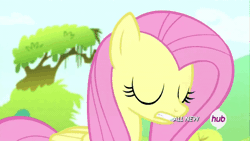 Size: 600x338 | Tagged: safe, derpibooru import, screencap, fluttershy, pegasus, pony, maud pie (episode), all new, animated, confluttershy, confused, gif, hub logo, solo, text