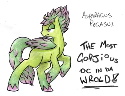 Size: 800x618 | Tagged: safe, artist:norcinu, derpibooru import, oc, oc:asparagus, ponified, unofficial characters only, food pony, original species, pegasus, pony, asparagus, food, solo, traditional art