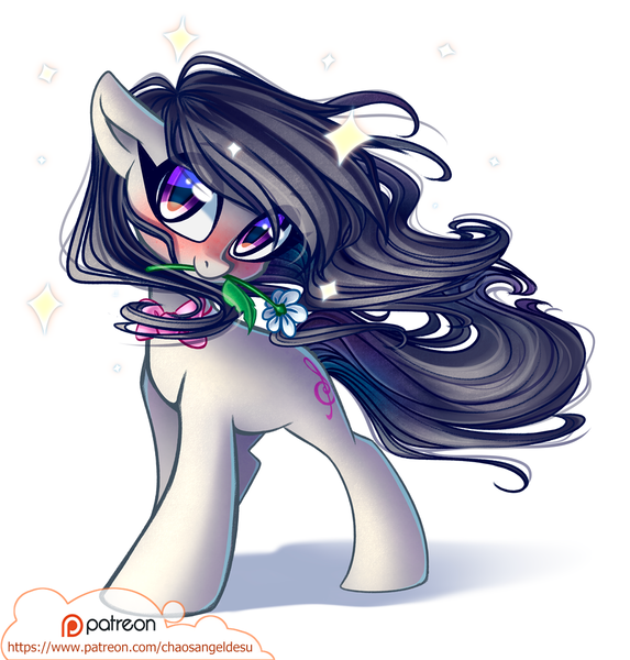 Size: 1000x1048 | Tagged: safe, artist:chaosangeldesu, derpibooru import, octavia melody, earth pony, pony, blushing, cute, female, flower, flower in mouth, looking at you, mare, mouth hold, patreon, patreon logo, smiling, solo, tavibetes