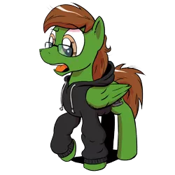 Size: 1200x1200 | Tagged: safe, artist:pony-berserker, derpibooru import, oc, oc:storm cloud, unofficial characters only, pegasus, pony, 2020 community collab, derpibooru community collaboration, clothes, glasses, hoodie, i can't believe it's not idw, male, simple background, solo, transparent background