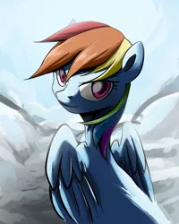 Size: 800x1000 | Tagged: safe, artist:ce2438, derpibooru import, rainbow dash, pegasus, pony, female, looking back, mare, rear view, solo