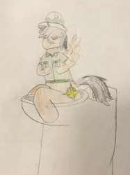 Size: 772x1034 | Tagged: safe, artist:snipiper, derpibooru import, daring do, pegasus, pony, but why, curse, fart, female, poop, pooping, toilet, traditional art