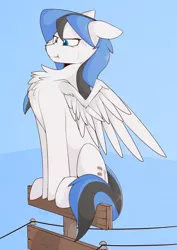 Size: 2538x3589 | Tagged: safe, artist:renderpoint, derpibooru import, oc, oc:kezzie, unofficial characters only, pegasus, pony, behaving like a bird, chest fluff, female, mare, perching, power line, solo, telephone pole