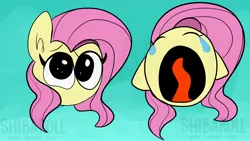 Size: 3840x2160 | Tagged: safe, artist:shibaroll, deleted from derpibooru, derpibooru import, fluttershy, pony, bust, crying, cursed emoji, cute, ear fluff, head only, high res, meme, open mouth, portrait, shyabetes, solo, watermark