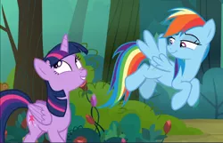 Size: 1460x940 | Tagged: safe, derpibooru import, screencap, rainbow dash, twilight sparkle, twilight sparkle (alicorn), alicorn, pegasus, pony, the mean 6, cropped, duo, everfree forest, excited, female, flying, lidded eyes, mare, smiling, smirk, spread wings, wings