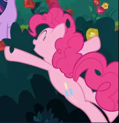 Size: 488x504 | Tagged: safe, derpibooru import, screencap, pinkie pie, earth pony, pony, the mean 6, balloonbutt, bush, butt, cropped, eyes closed, female, flower, lying down, mare, offscreen character, open mouth, plot, rose, smiling, solo focus