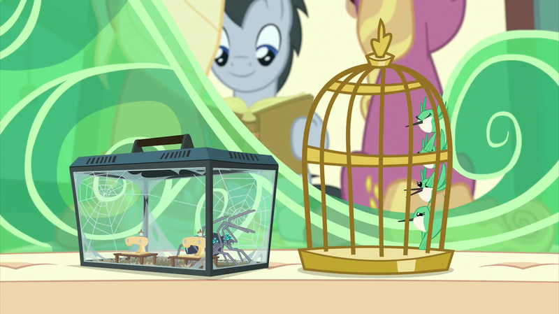 Size: 2880x1618 | Tagged: animal, animosity, bird, bird cage, box, cage, derpibooru import, fire flicker, flying, friendship student, glass, hummingbird, lucky clover, miniature, safe, screencap, seat, sewing machine, snarling, spider, spider web, star spider, terrarium, the last problem