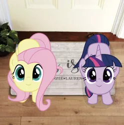 Size: 634x636 | Tagged: safe, artist:owlisun, derpibooru import, edit, editor:undeadponysoldier, fluttershy, twilight sparkle, twilight sparkle (alicorn), alicorn, pony, cute, doormat, duo, female, irl, looking at you, looking up, looking up at you, mare, photo, ponies in real life, shyabetes, twiabetes