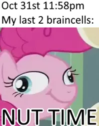 Size: 229x289 | Tagged: suggestive, derpibooru import, edit, edited screencap, editor:nintenyt, screencap, pinkie pie, earth pony, pony, maud pie (episode), cropped, cross-eyed, dank memes, derp, halloween, holiday, meme, my last two braincells, no nut november, nut, nut time, october, smiling, solo