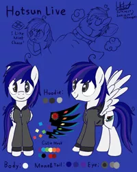 Size: 1200x1500 | Tagged: safe, artist:livehotsun, derpibooru import, oc, oc:hotsun, unofficial characters only, pegasus, pony, male, reference sheet, solo