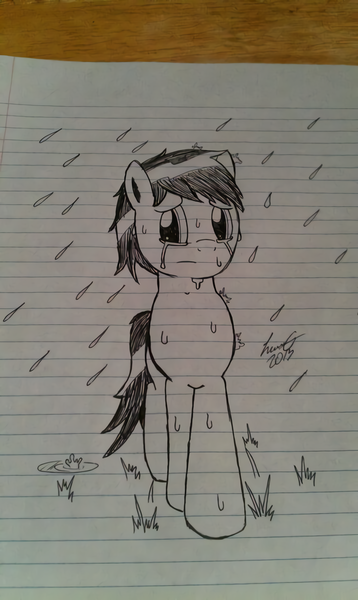 Size: 896x1500 | Tagged: safe, artist:lucas_gaxiola, derpibooru import, oc, oc:charmed clover, unofficial characters only, earth pony, pony, crying, earth pony oc, irl, lineart, lined paper, male, photo, rain, signature, solo, stallion, traditional art