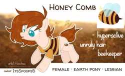 Size: 888x541 | Tagged: safe, artist:hoochuu, derpibooru import, oc, oc:honey comb, unofficial characters only, earth pony, pony, clothes, cutie mark, female, freckles, mare, reference sheet, shirt, solo, underhoof