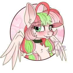 Size: 600x600 | Tagged: safe, artist:zombies-pudding, derpibooru import, oc, oc:melony surprise, unofficial characters only, pegasus, pony, blushing, bust, chest fluff, collar, female, freckles, looking at you, mare, portrait, simple background, solo, transparent background