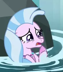 Size: 349x397 | Tagged: adorable distress, cropped, crying, cute, derpibooru import, diastreamies, female, fins, jewelry, necklace, open mouth, rock, safe, screencap, seapony (g4), silverstream, solo, splash, splashing, teary eyes, upset, water, what lies beneath, worried