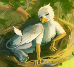 Size: 475x427 | Tagged: safe, alternate version, artist:resurgam_snova, derpibooru import, oc, oc:der, unofficial characters only, gryphon, forest, full body, lying, male, nest, solo, tail, tree