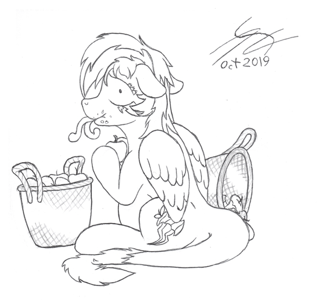 Size: 1039x982 | Tagged: safe, artist:parallel black, derpibooru import, rainbow dash, monster pony, original species, tatzlpony, alternate cutie mark, apple, basket, belly, eating, food, guilty, simple background, sketch, species swap, stuffed, tatzldash, traditional art, white background, zap apple