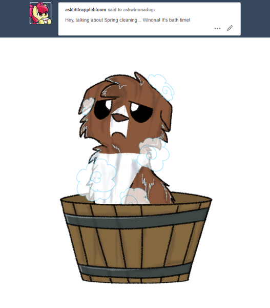 Size: 800x911 | Tagged: artist:askwinonadog, ask, ask winona, bath, bathing, bath time, bucket, derpibooru import, dog, looking at you, safe, simple background, soap, solo, tumblr, water, wet, white background, winona, winona is not amused