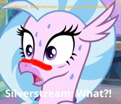 Size: 651x556 | Tagged: artist:gooeybird, blushing, blushing profusely, caption, cropped, derpibooru import, edit, edited screencap, hippogriff, implied gallburst, implied gallstream, implied gallus, implied gay, implied griffon on pony action, implied pony on griffon action, implied shipping, implied sunburst, meme, misspelling, questioning, safe, say what, screencap, shocked expression, silverstream, solo, student counsel, sweat, sweating profusely