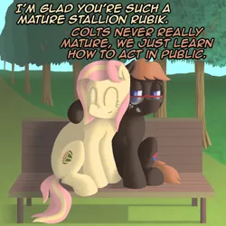 Size: 800x800 | Tagged: safe, artist:crispokefan, derpibooru import, oc, oc:melony, oc:rubik, unofficial characters only, pony, ask pun, ask, bench, female, male, mare, stallion, tree