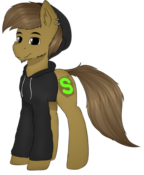 Size: 3403x4133 | Tagged: safe, artist:almond evergrow, derpibooru import, oc, oc:almond evergrow, unofficial characters only, earth pony, pony, 2020 community collab, derpibooru community collaboration, black hoodie, clothes, hipster pone, male, simple background, solo, stallion, transparent background