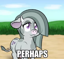 Size: 700x640 | Tagged: artist:glimglam, barnyard, caption, cow, cowified, derpibooru import, hair over one eye, horns, image macro, marble pie, meme, mooble pie, perhaps, ponified meme, safe, solo, species swap, text, udder