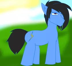 Size: 1222x1108 | Tagged: safe, artist:soul-yagami64, derpibooru import, oc, unofficial characters only, earth pony, pony, earth pony oc, frown, grass, hair over one eye, male, solo, stallion, watermark