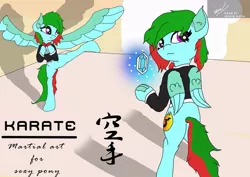 Size: 843x596 | Tagged: safe, artist:irshadhazmi, derpibooru import, oc, oc:precised note, unofficial characters only, pegasus, pony, advertisement, bowtie, clothes, cutie mark, gem, japanese, karate, kicking, request, room, shadow, spread wings, standing, symbol, training, tuxedo, watermark, wings